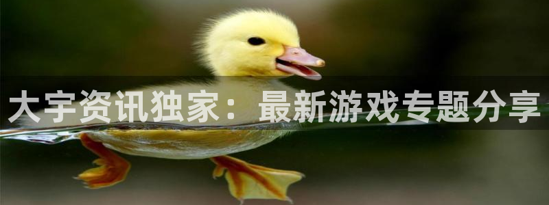 多彩娱乐网页登录入口官网：大宇资讯独家：最新游戏专题分享