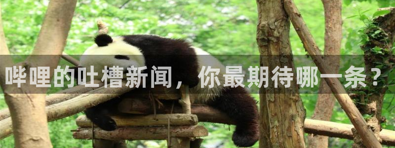 多彩娱乐app下载地址：哔哩的吐槽新闻，你最期待哪一条？