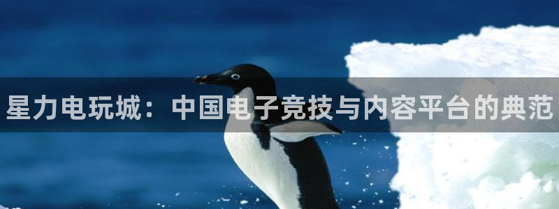多彩娱乐测速：星力电玩城：中国电子竞技与内容平台的典范