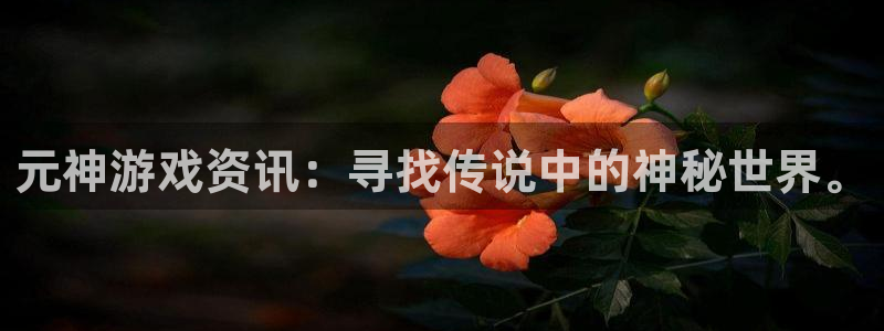 多彩娱乐官网登录：元神游戏资讯：寻找传说中的神秘世界。