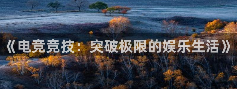 多彩娱乐注册地址：《电竞竞技：突破极限的娱乐生活》