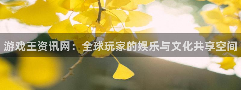 多彩娱乐怎么注册：游戏王资讯网：全球玩家的娱乐与文化共享空间